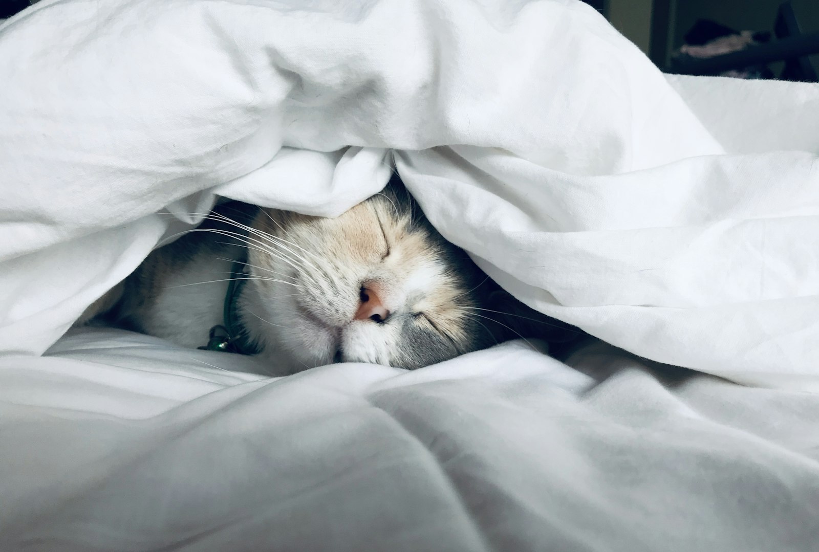Sleep Positions That Heal: A Complete Guide
